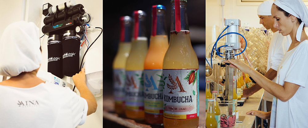 Water Filtration System: Aina Kombucha & HydroLogic