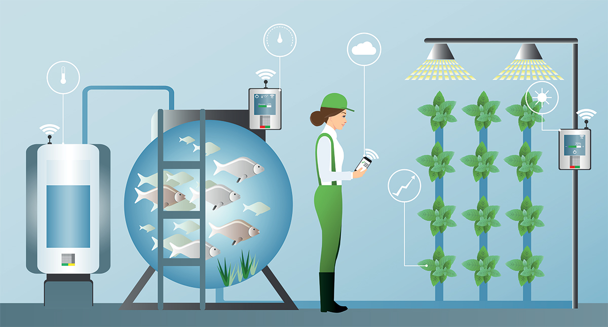 Aquaponics