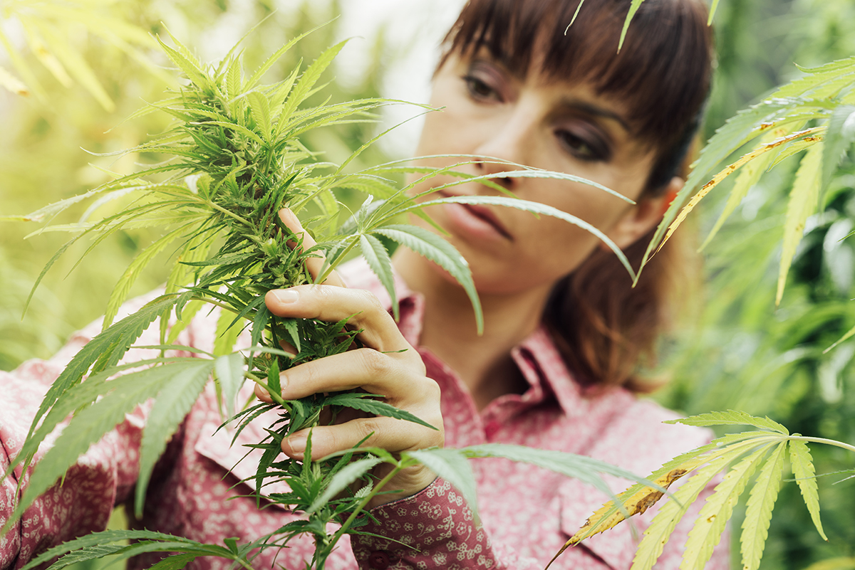 Woman Cultivating Cannabis