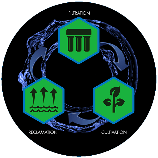 Water Filtration Cycle