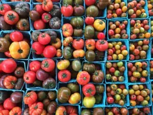 Holy City Farms tomatoes