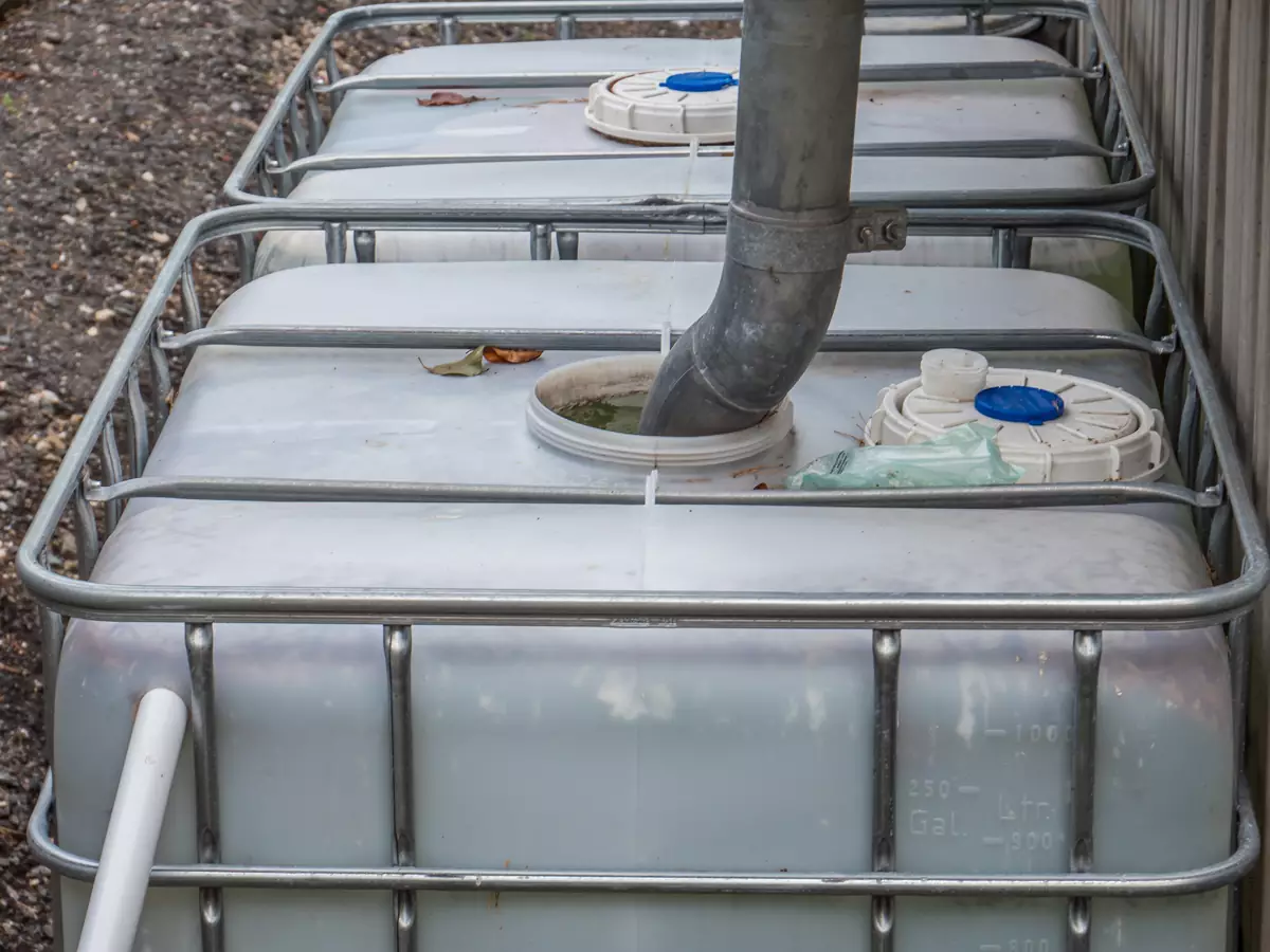 Rain Barrel